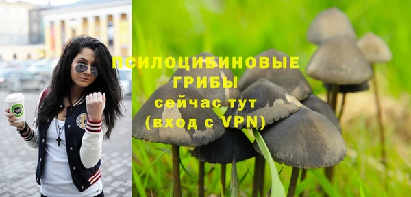 соль ск Алексин