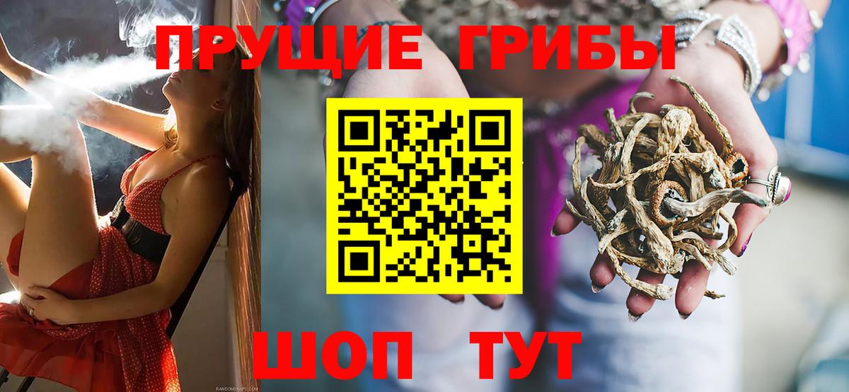 Галлюциногенные грибы GOLDEN TEACHER Строитель